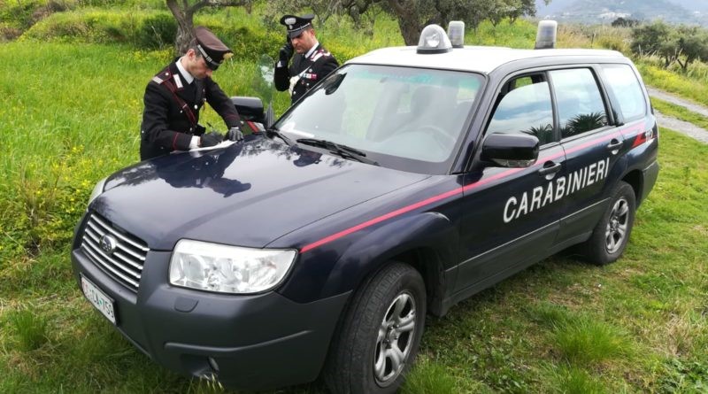 Caronia