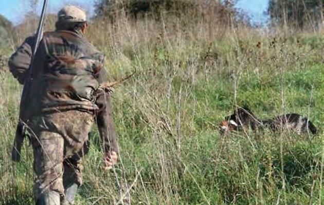 Sospesa La Caccia Al Coniglio Selvatico In Sicilia